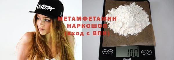 шишки Верея