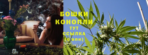 сатива Волосово