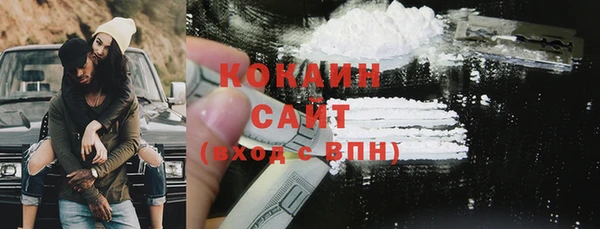 шишки Верея