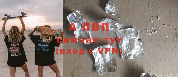 шишки Верея