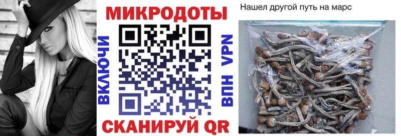 даркнет официальный сайт  Искитим  Псилоцибиновые грибы Magic Shrooms 